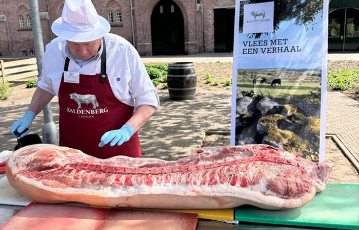 Meet Master (UITVERKOCHT)