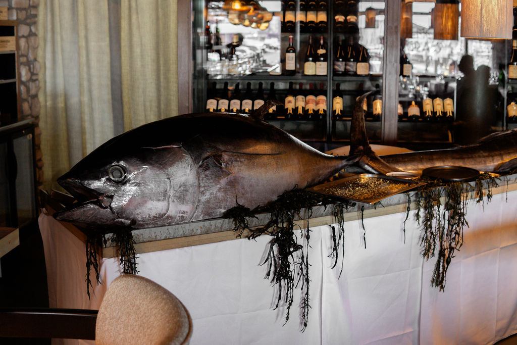 TUNA SHOW - Christmas edition 🎄